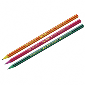 Карандаш пластиковый Bic "Evolution Lines" HB