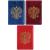 Обложка-карман для карт и пропусков, проездных, ПВХ, в ассортименте