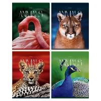 Тетрадь А5 96л., BG клетка, в ассортименте