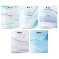 Тетрадь А5 24л. клетка Berlingo "Color Storm", 80г/м2, ассорти