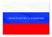 Обложка для свидетельства о рождении (нового образца), ПВХ, в ассортименте