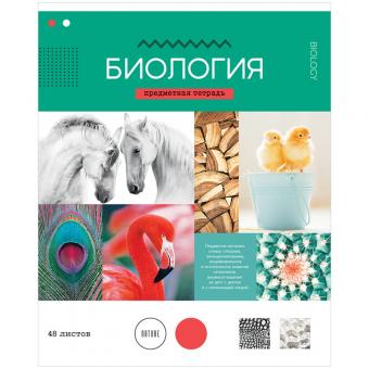 Тетрадь предметная "Биология", 48л., в ассортименте